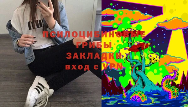 дживик Балахна