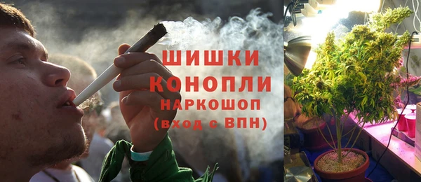 дживик Балахна