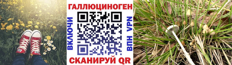 Галлюциногенные грибы MAGIC MUSHROOMS дарнет шоп Баксан